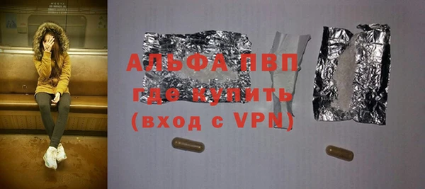 крисы Баксан