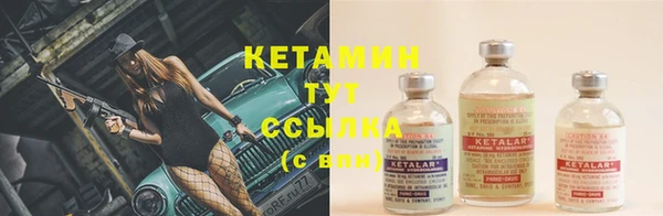 крисы Баксан