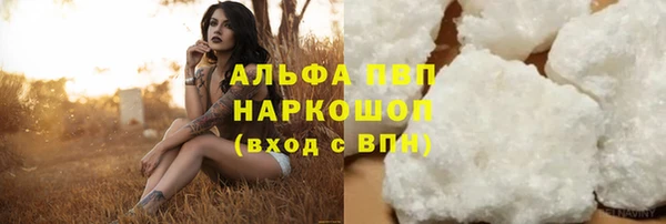 крисы Баксан