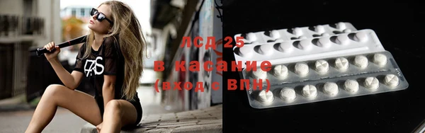 крисы Баксан