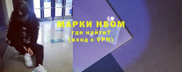 крисы Баксан