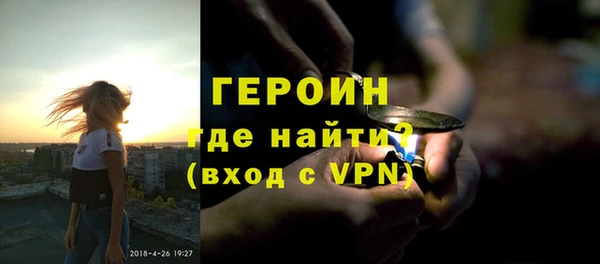 индика Дмитриев