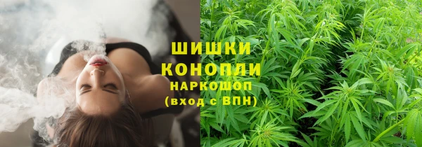 крисы Баксан